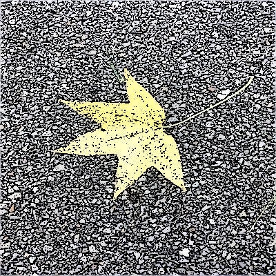 All the leaves fall down